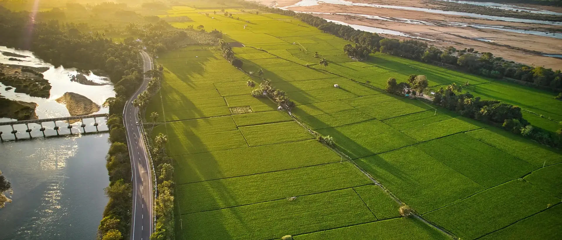 Aerial view of green farmland, a road and a river in India