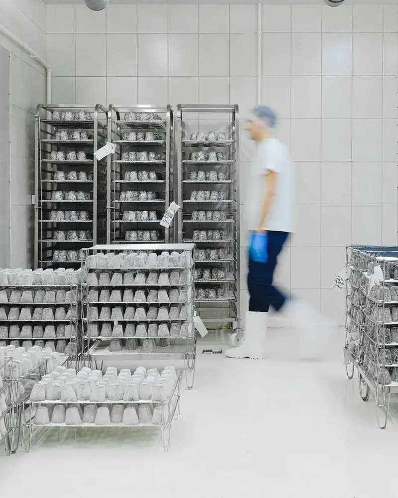 Pharma & Healthcare