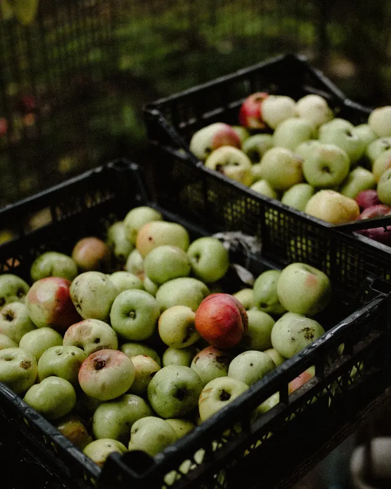 Agri & Produce